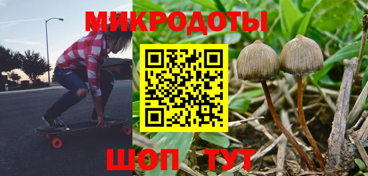Галлюциногенные грибы мицелий  Псилоцибиновые грибы Magic Shrooms  Вход с VPN  Ижевск 